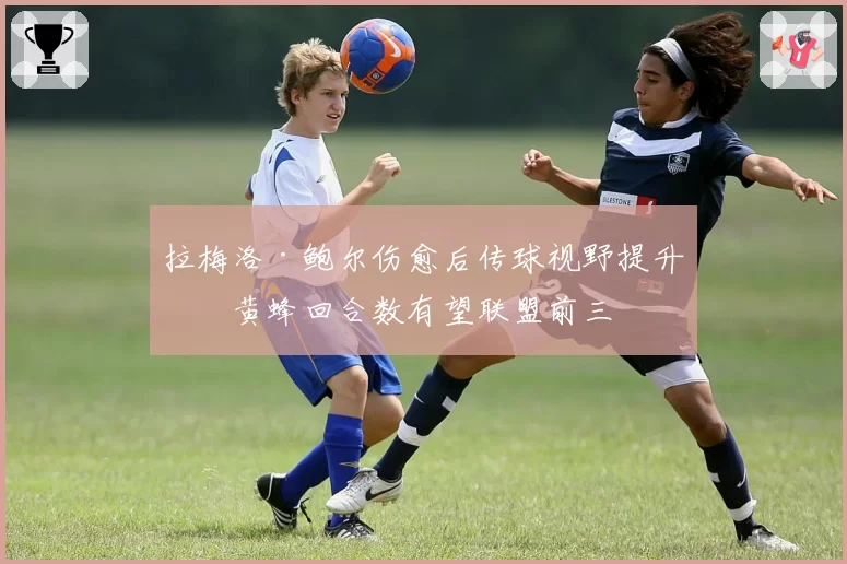 拉梅洛·鲍尔伤愈后传球视野提升，黄蜂回合数有望联盟前三