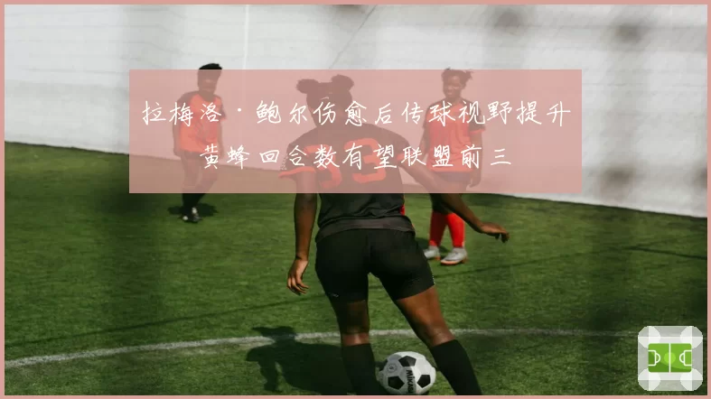 拉梅洛·鲍尔伤愈后传球视野提升，黄蜂回合数有望联盟前三