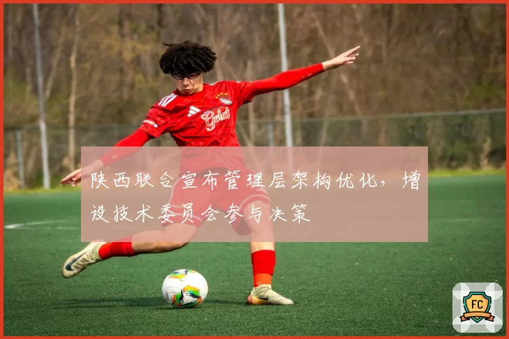 陕西联合宣布管理层架构优化，增设技术委员会参与决策